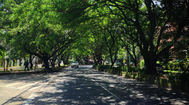 Túnel_Verde_Envigado