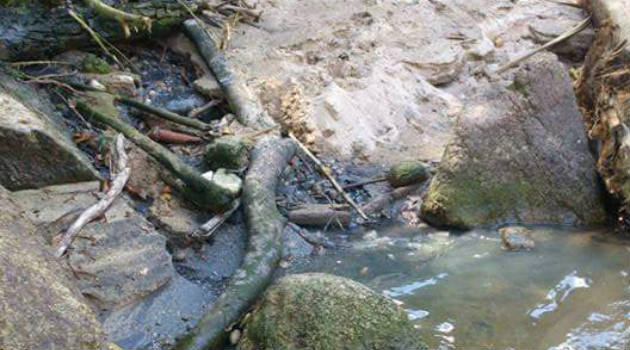 rio_contaminación_aguas_negras_alejandría