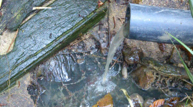 rio_contaminación_aguas_negras_alejandría2