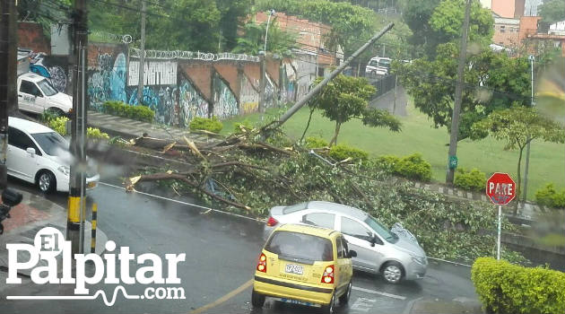 caída_arbol_invierno_envigado_lluvia_aguacero2