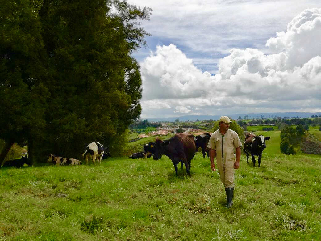 Microempresas de Colombia